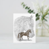Paso Fino Horse Art Briefkaart (Staand voorkant)