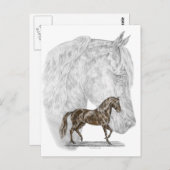 Paso Fino Horse Art Briefkaart (Voorkant / Achterkant)