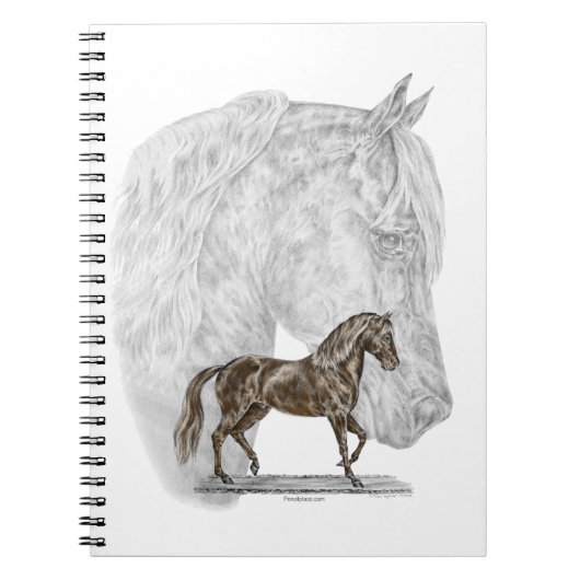 Paso Fino Horse Art Notitieboek (Voorkant)