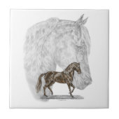 Paso Fino Horse Art Tegeltje (Voorkant)