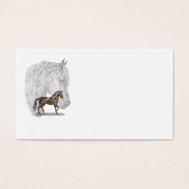 Paso Fino Horse Art Visitekaartjes (Voorkant)