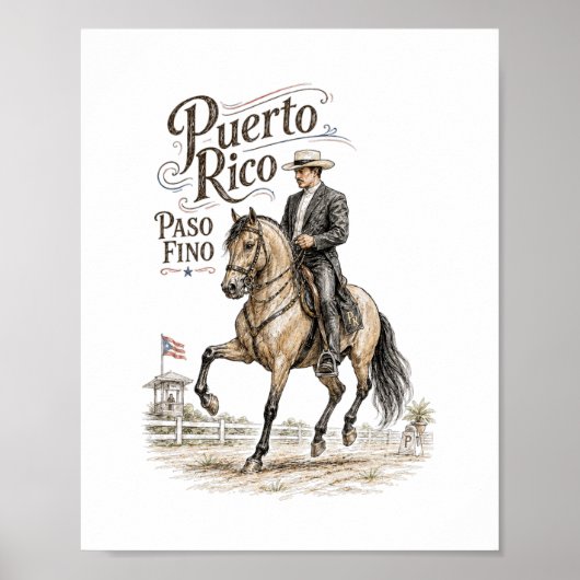 Paso Fino Paard Puerto Rico Poster (Voorkant)