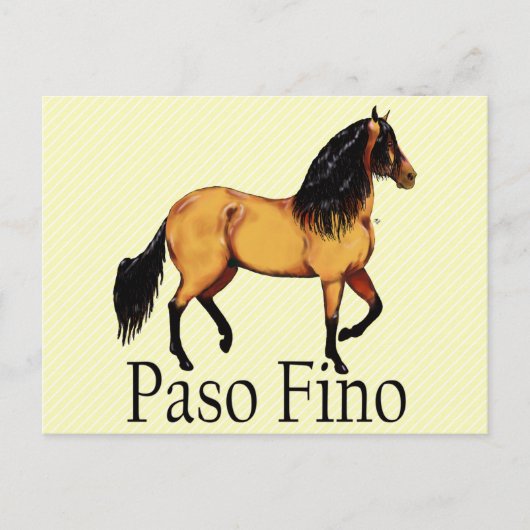 Paso Horse Buckskin Paso Fino Briefkaart (Voorkant)