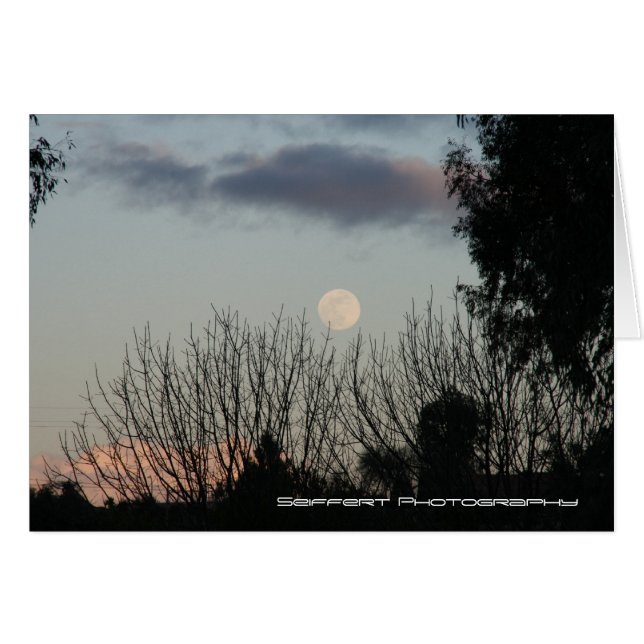 Paso Robles Ca (Voorkant Horizontaal)