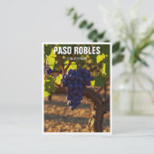 Paso Robles California Central Coast Briefkaart (Staand voorkant)