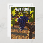 Paso Robles California Central Coast Briefkaart (Voorkant / Achterkant)