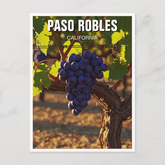 Paso Robles California Central Coast Briefkaart (Voorkant)