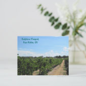 Paso Robles, Californië, Wijnland Briefkaart (Staand voorkant)
