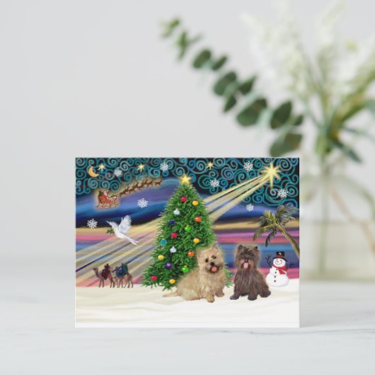 Paspoort met magie-Caïro-vliegende bril+brindle Feestdagenkaart (Staand voorkant)