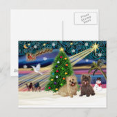 Paspoort met magie-Caïro-vliegende bril+brindle Feestdagenkaart (Voorkant / Achterkant)