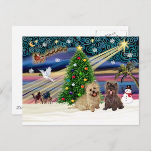 Paspoort met magie-Caïro-vliegende bril+brindle Feestdagenkaart (Voorkant / Achterkant)