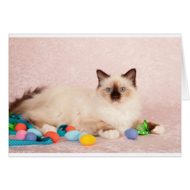 Paspoortje (Voorkant Horizontaal)