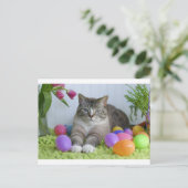 Paspoortje Feestdagenkaart (Staand voorkant)