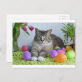 Paspoortje Feestdagenkaart (Voorkant / Achterkant)