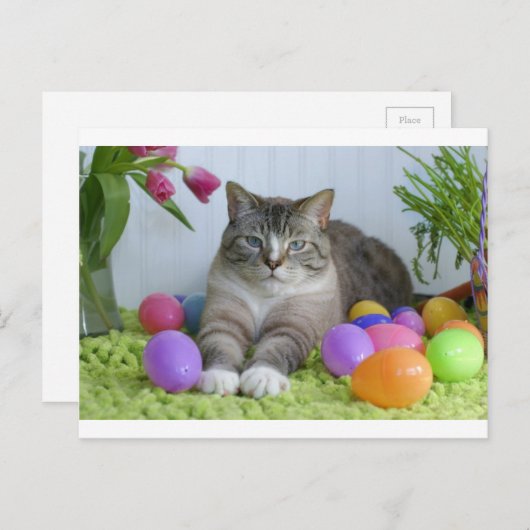 Paspoortje Feestdagenkaart (Voorkant / Achterkant)