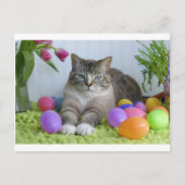 Paspoortje Feestdagenkaart (Voorkant)