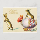 Paspoortjes  Briefkaart (Voorkant)