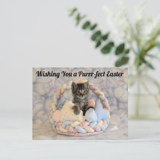 Paspoortmandje - Briefkaart (Staand voorkant)