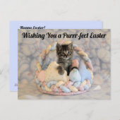 Paspoortmandje - Briefkaart (Voorkant / Achterkant)