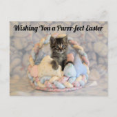 Paspoortmandje - Briefkaart (Voorkant)