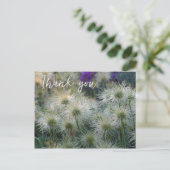 Pasque Bloem Zaadhoofden Bedankkaart Briefkaart (Staand voorkant)