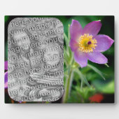 Pasque Flower Creëer Uw eigen foto Fotoplaat (Voorkant)