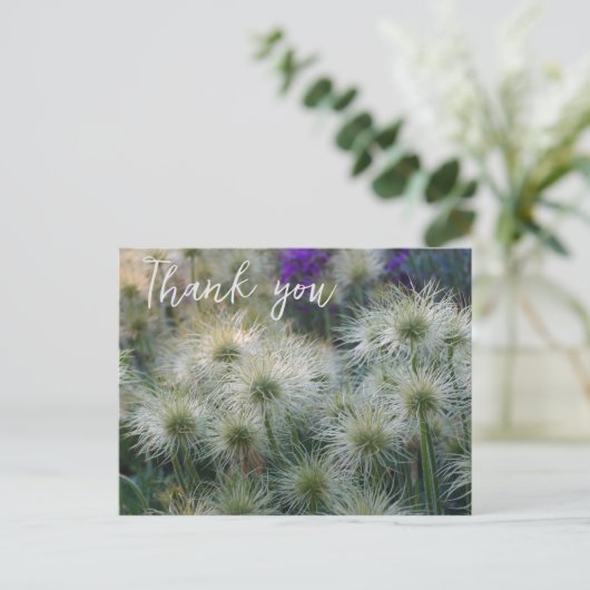 Pasque Flower Seed Head, Briefkaart (Staand voorkant)