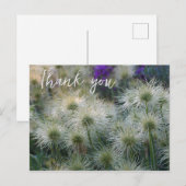 Pasque Flower Seed Head, Briefkaart (Voorkant / Achterkant)