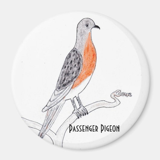 Passagiersduif ijskast magneet (Voorkant)