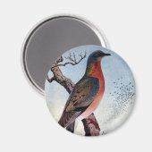 Passagiersduif Magneet (Voorkant / Achterkant)