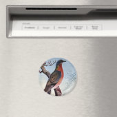 Passagiersduif Magneet (Insitu (Vaatwasser))