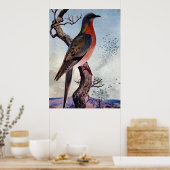 Passagiersduif Poster (Keuken)