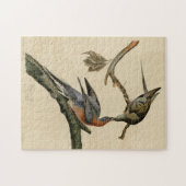 Passagiersduif uit de Amerikaanse vogelfamilie Aud Legpuzzel (Horizontaal)