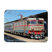 Passagierstrein op het treinstation van Boekarest  Magneet (Horizontaal)