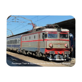 Passagierstrein op het treinstation van Boekarest  Magneet