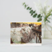 Passaic Herfst in Winter, Paterson, NJ  Briefkaart (Staand voorkant)