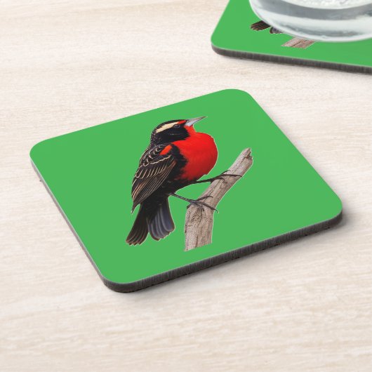 Pássaro peito-vermelho-grande (Sturnella defilipp) Bier Onderzetter (Linkerzijde)