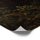 Passeerdouche in de Tropic Frederic Edwin Church Poster (Hoek)