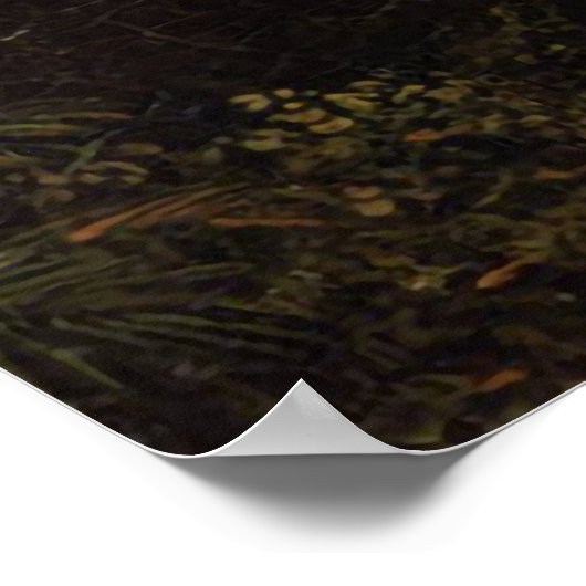 Passeerdouche in de Tropic Frederic Edwin Church Poster (Hoek)