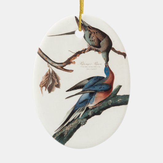 Passenger Pigeon (1838) John J. Audubon Keramisch Ornament (Voorkant)