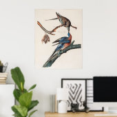 Passenger Pigeon (1838) John J. Audubon Poster (Thuiskantoor)