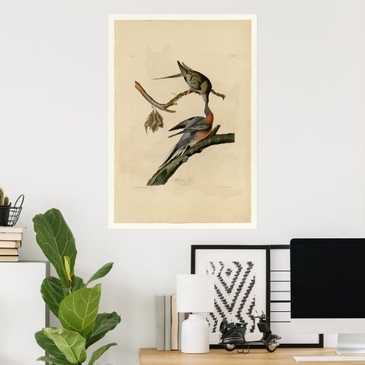 Passenger Pigeon Poster (Thuiskantoor)