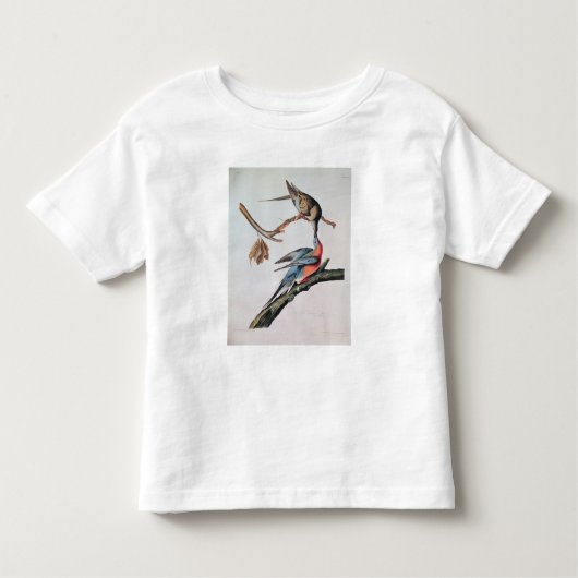 Passenger Pigeon uit 'Birds of America' Kinder Shirts (Voorkant)