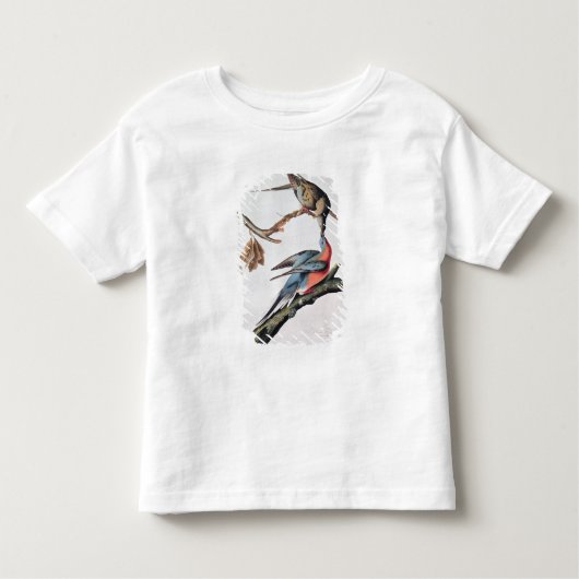 Passenger Pigeon uit 'Birds of America' Kinder Shirts (Voorkant)