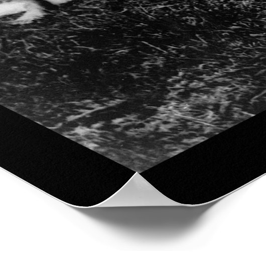 Passenger Wheelbarrows China 1910 Poster (Hoek)