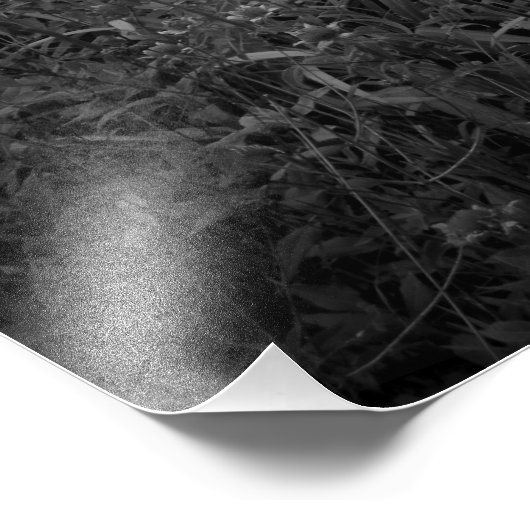 "Passersby" Foto Afdruk (Hoek)