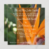 Passie in de tropische paradijselijke bruiloft kaart (Voorkant / Achterkant)