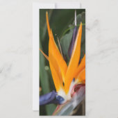 Passie in het Paradise Tropical Wedding Invitation Kaart (Achterkant)