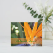 Passie in Paradijs Proefdiner Uitnodigingskaarten Briefkaart (Staand voorkant)
