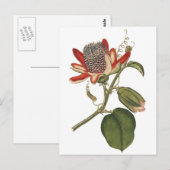  Passie-ventilator Briefkaart (Voorkant / Achterkant)